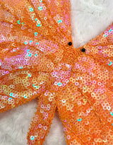 Butterfly sequin top