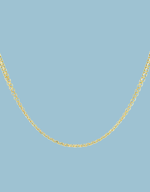 Linked chain necklace