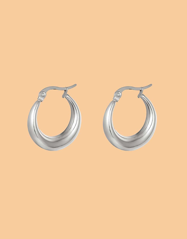 Earrings arched