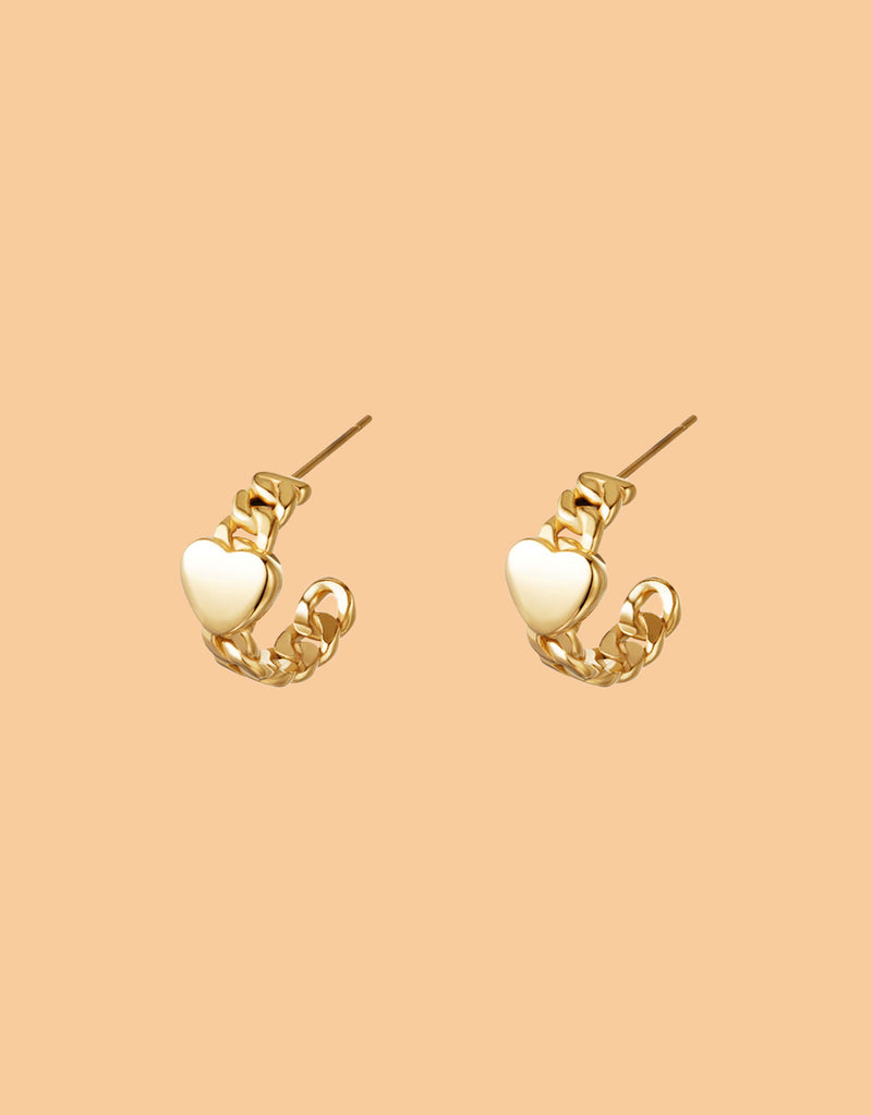 Earrings chained love