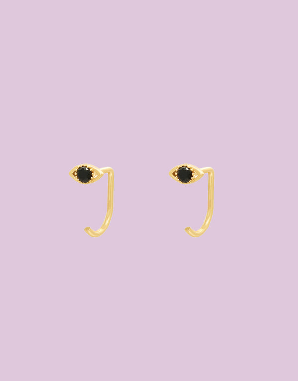 Earrings hook and eye