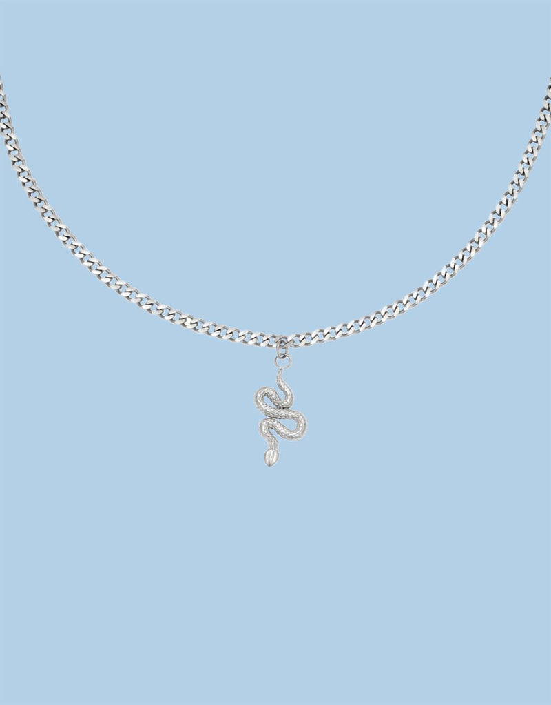 Necklace Snake pendant