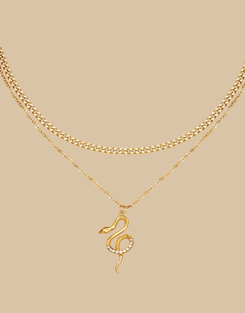 Necklace chained snake