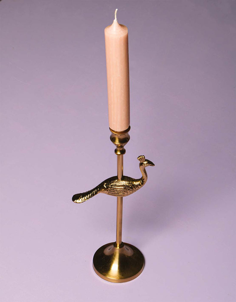 Peacock candle stand