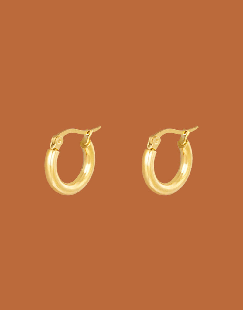 Earrings little hoops III