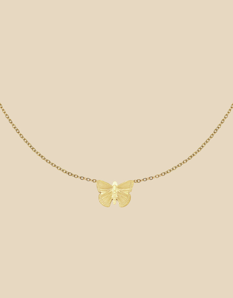 Necklace butterfly